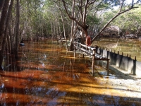 Cierran 5 paradores tur&iacute;sticos m&aacute;s por afectaciones de Gamma