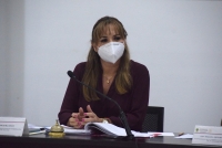 Posponen diputados aprobaci&oacute;n de convenios lim&iacute;trofes&nbsp;