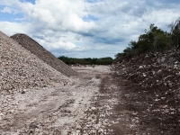 Profepa clausura obras en granja de Hoctún
