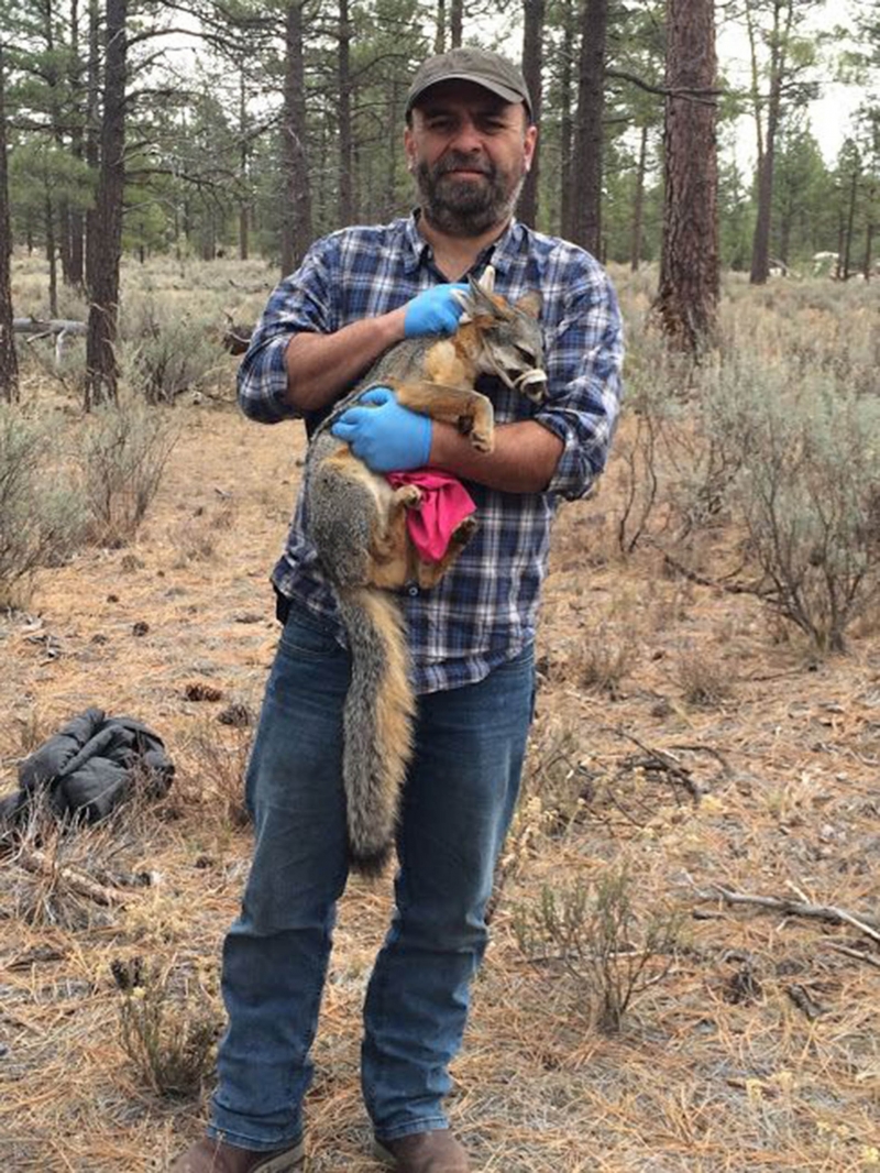 Necesario monitorear si humanos transmiten SARS-Cov-2 a animales