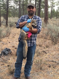 Necesario monitorear si humanos transmiten SARS-Cov-2 a animales