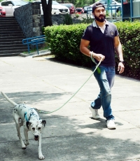 Perros interpretan emociones de sus due&ntilde;os