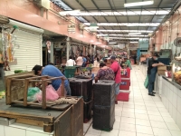 Locatarios del Lucas del Galv&eacute;z inconformes con nuevo horario