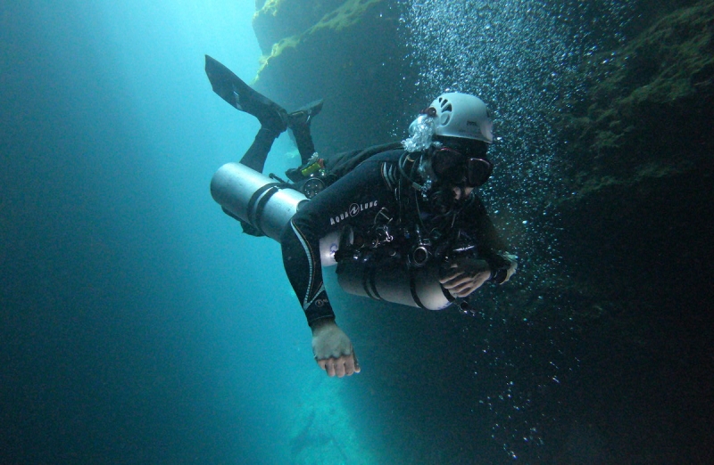 Crecimiento urbano amenaza fauna endémica de cenotes yucatecos