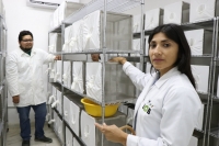 Expertos del LCB del mosquito Aedes aegypti, presentes en reuni&oacute;n en China