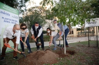 Ayuntamiento de Mérida siembra 100 mil árboles en esta administración