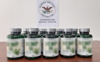 Asegura GN droga en empresa de paquetería