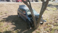 Conductora se impacta contra árbol