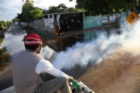 Reportan caso de dengue en Progreso
