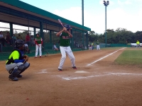 Asociación de Béisbol tuvo un regular 2017