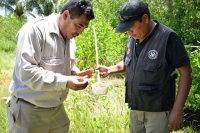 Sin reportes de casos de enfermedades por vector