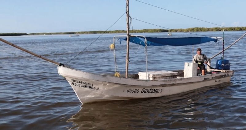 Yucatán ampliará cuota del pulpo a 32 mil toneladas