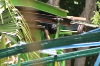 Vigilar&aacute;n que se indemnice a trabajador muerto en Centenario