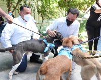 Vila y Ren&aacute;n anuncian apertura de hospital veterinario p&uacute;blico