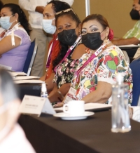 Promueve INE reuniones consultivas a comunidad ind&iacute;gena y afromexicana