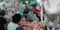 Repunta venta de pavos por fiestas