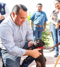 Lanzan app para fomentar la adopci&oacute;n canina y felina