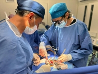 Destaca Yucatán por altos índices de éxito en trasplantes pediátricos