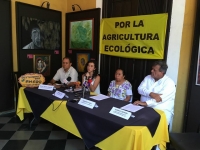 Exige Greenpeace a candidatos agenda ambiental