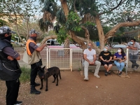 Educaci&oacute;n canina y sociedad informada: V&iacute;ctor Cervera