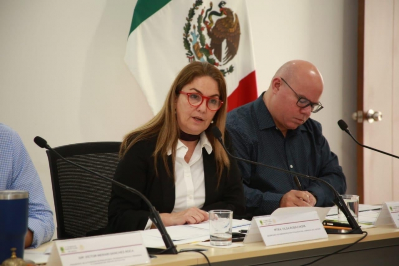 Habrá nuevo "apretón de cinturón" en Gobierno Estatal: Rosas Moya