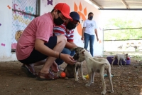 Preocupa y ocupa  al Ayuntamiento bienestar animal: Renán