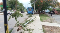 Camion de Va y Ven derriba poste en el centro