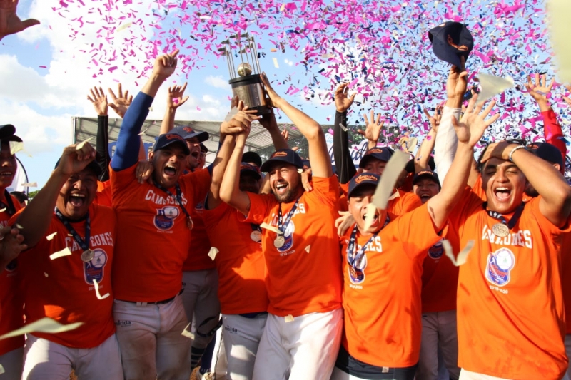 Azulejos ganan la final de la liga meridana