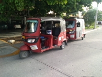 Aprueban en Comisi&oacute;n legalizar a mototaxis, tricitaxis, motocarros y calesas