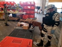 Ej&eacute;rcito y Guardia Nacional aseguran drogas en empresa de paqueter&iacute;a&nbsp;