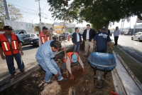 Ayuntamiento recupera espacios verdes