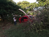 Conductora pierde el control del volante y sale del camino
