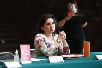 Ciudadanos deben ser el centro de reforma pol&iacute;tico-electoral: Ivonne Ortega