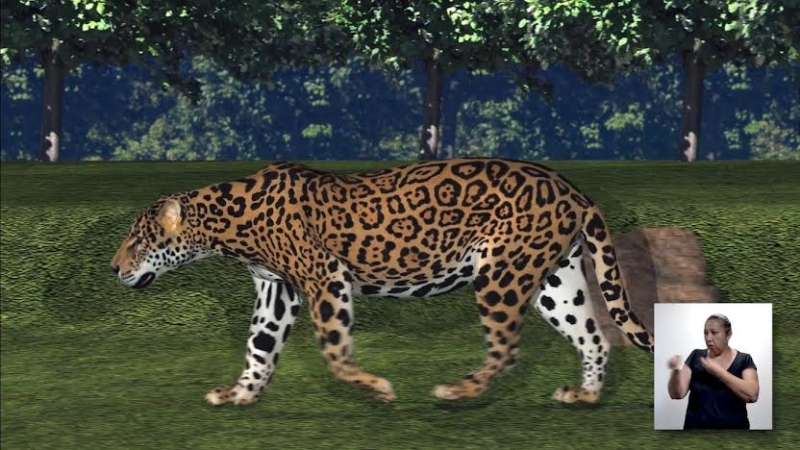 Promueve Cultur cultura maya con producción audiovisual