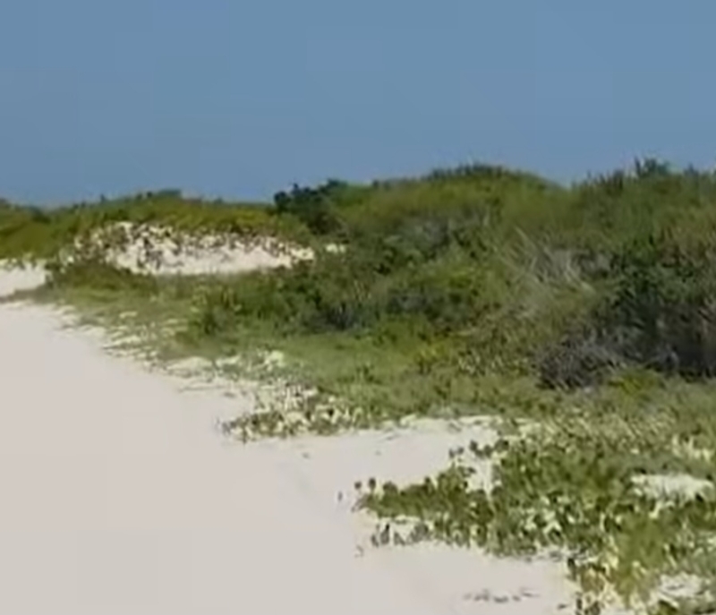 Protección de dunas y manglares, por encima de cualquier proyecto privado