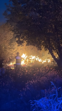 Sofocan incendio de maleza en encierro de camiones