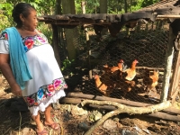 Fortalecen producci&oacute;n agroecol&oacute;gica