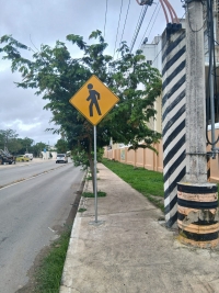 Refuerzan seguridad vial en zonas escolares