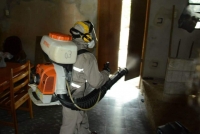 Prevenci&oacute;n, fundamental para evitar enfermedades transmitidas por moscos