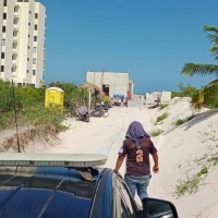 Abejas atacan a alba&ntilde;iles en playa de Dzemul