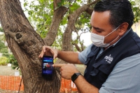 Promueve comuna uso de la tecnolog&iacute;a en beneficio de meridanos