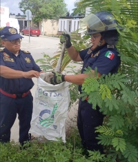 Retiran serpiente de vía pública