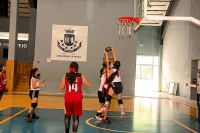 Hormigas y academia BBC triunfan en torneo de baloncesto 3x3