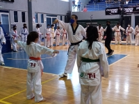 Nutrida participaci&oacute;n en cl&iacute;nica estrat&eacute;gica de combate de TDK