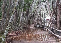 Cierran "El Corchito&rdquo; temporalmente por seguridad de usuarios