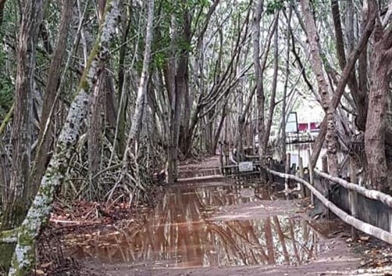 Cierran "El Corchito” temporalmente por seguridad de usuarios