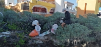 Retiran ciudadanos en Chicxulub m&aacute;s de 2 toneladas de basura de playas