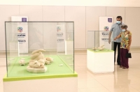 Esculturas invitan a reflexionar sobre la flora y fauna yucatecas