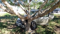 Conductora se impacta contra &aacute;rbol por esquivar tinaco