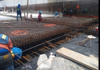 Rehabilitaci&oacute;n del "paso deprimido" presenta importantes avances